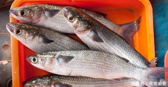 为啥|同样都是鱼,河鱼和海鱼都可以吃,为啥井鱼不可以吃大有学问