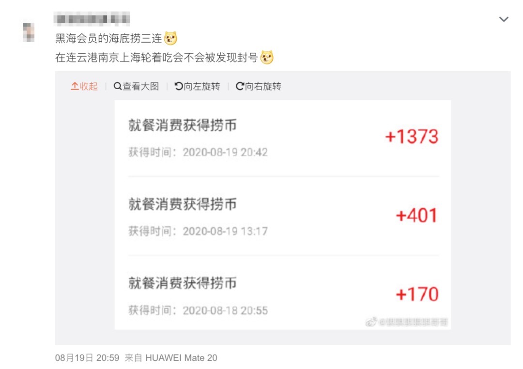 账号|紧急封停2200个账号,海底捞这是怎么了