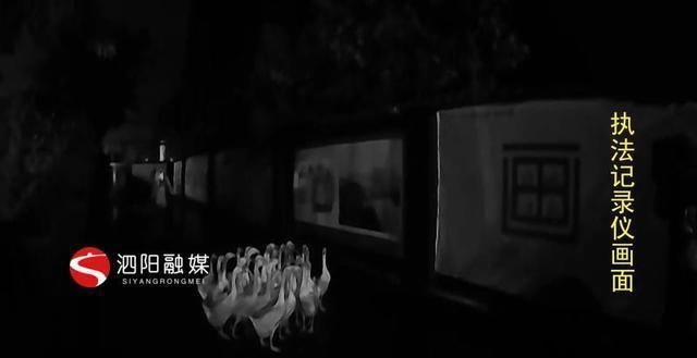  出走|大白鹅雨夜组团“出走”民警稳妥处置急寻失主