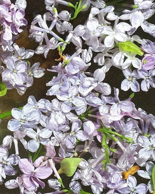  超现实主义|德国艺术家的超现实主义时尚盛宴。。。