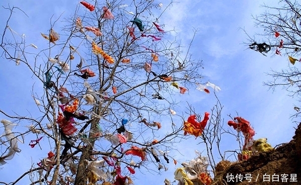 新规|国家出台废弃地膜回收新规,杜绝乡村白色垃圾,自觉从我做起