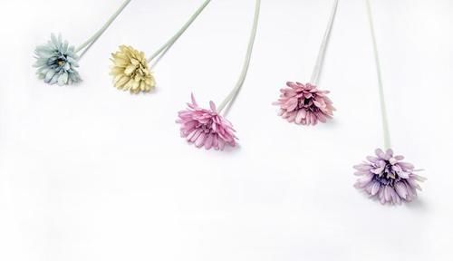 安静|安静也是一种心态（值得一读）