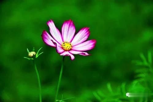 钱财|男子讨要钱财不成后,两次三番故意捣乱亲属经营