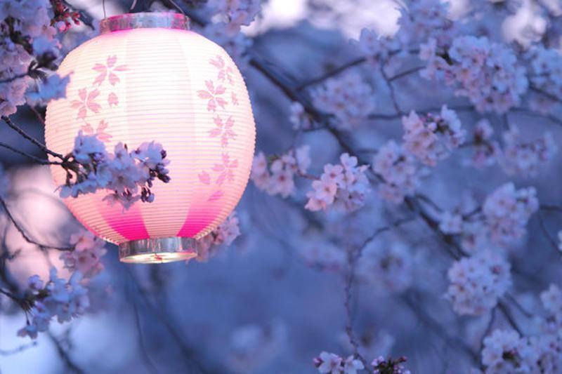  人来说|文学对人的意义是什么？