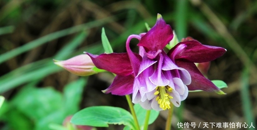 好运|下周起,好运到,走十年难遇财运,人生实现逆转的4大生肖