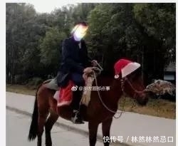 朋友圈|那些令人捧腹的朋友圈, 看完笑坏了