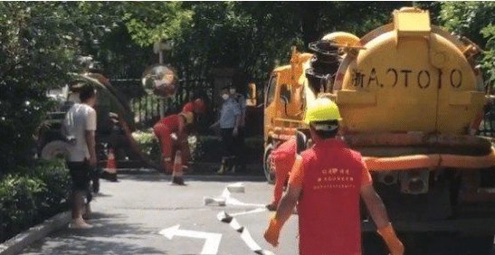  比对|38车粪物中发现人体组织, DNA比对确定是来女士, 众多谜团被解开