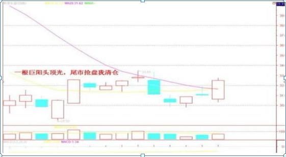  子行业|一位投资银行的老股民：5年前只买5万工商银行，无视涨跌持有到现赚了多少？真正的价值投资资