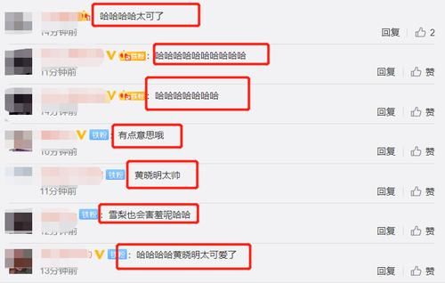 追星|雪梨与黄晓明同框直播，面带羞涩完全不敢对视，已婚妈妈秒变追星少女