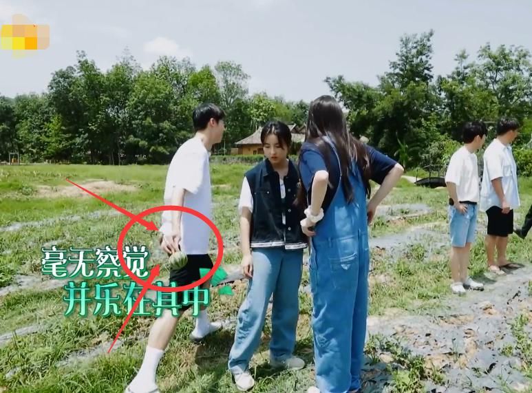  西瓜|许光汉也卖白痴人设了？摘掉未熟西瓜，何老师表情有内涵