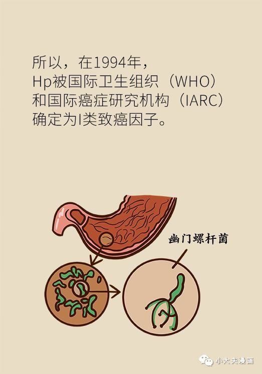  专家|幽门螺杆菌到底该不该杀，听听协和专家怎么说！