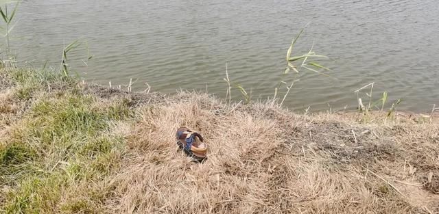  男子|广西一男子带7岁儿子游泳 转身给手机充电结果孩子溺亡……这件事一定要注意