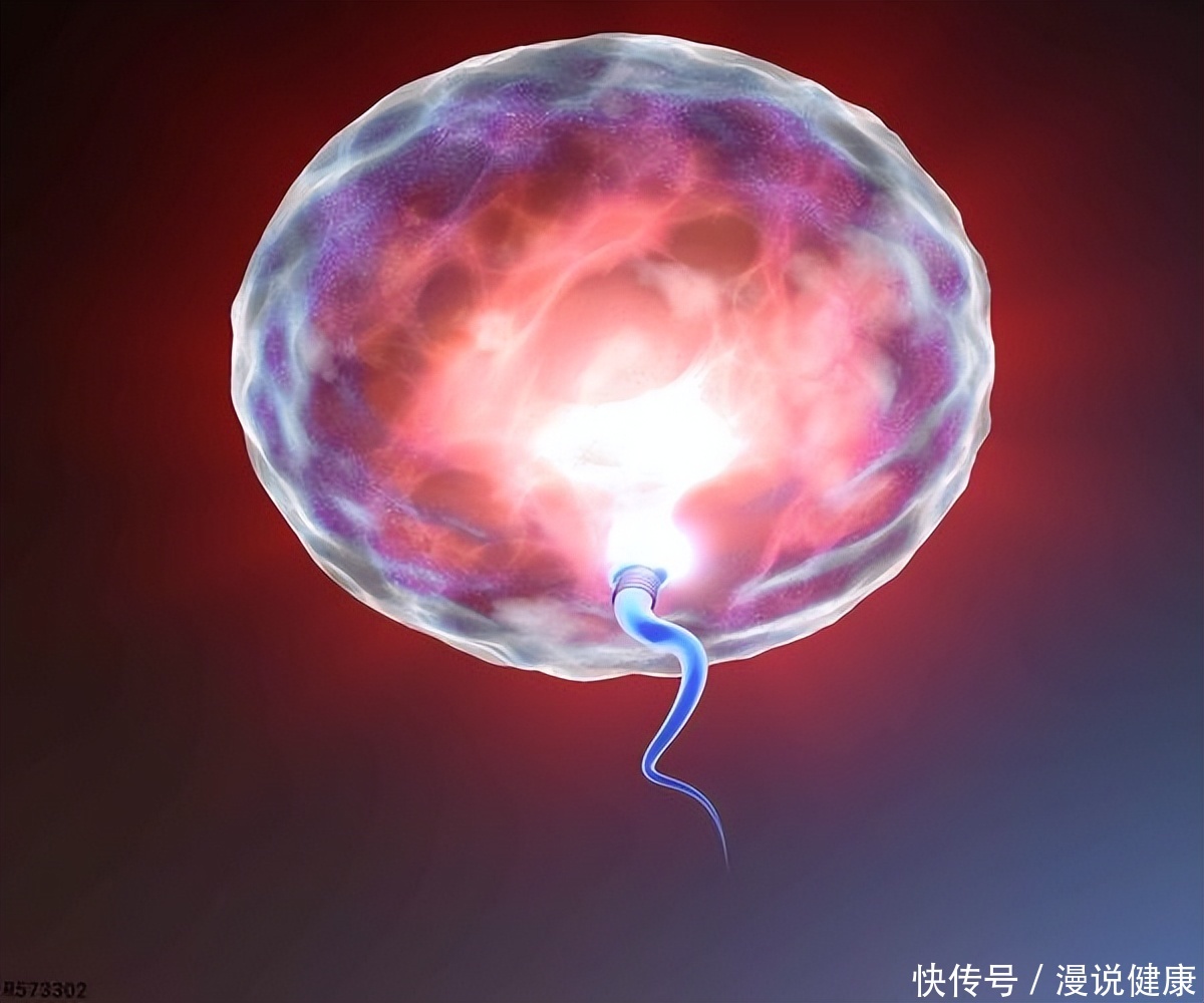 一旦卵泡出现异常，会影响到生育能力吗？或存在这2点原因！2023