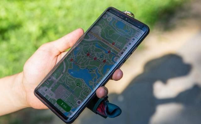  追踪|在北京追踪野生动物：15岁女孩红外相机里的城市秘影