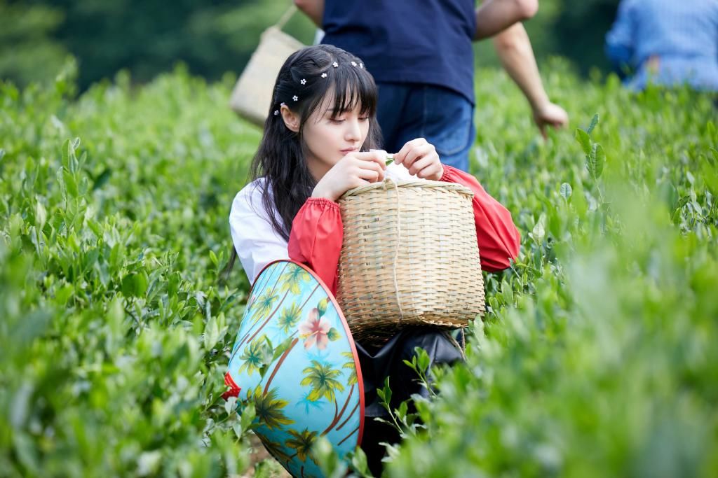  在生活中|腾讯视频《让生活好看》温暖收官，“好看家族”每个人都在生活中成长