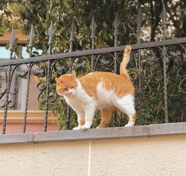  宿舍|“忍受了宿舍&合租生活后，我终于搬出来一个人住了”