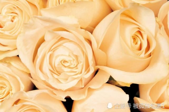  生肖|八月开始，财运突飞猛进，运势有转机，福气围绕的生肖