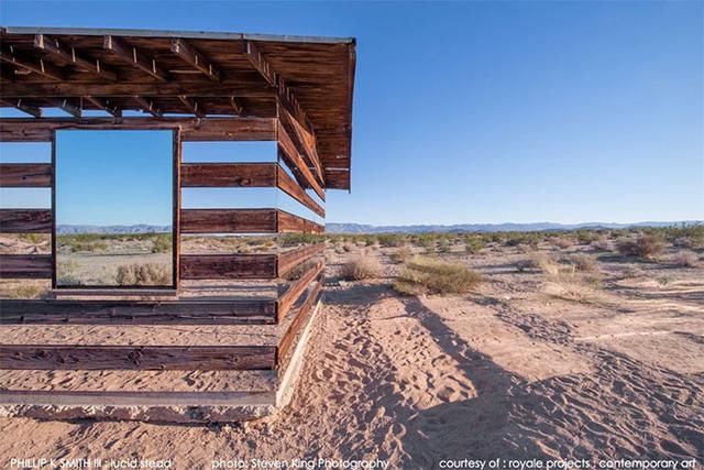  活久|30张“活久未见”的照片：被闪电击中的木头，好像一副国画