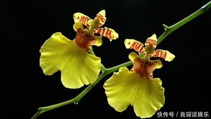  生肖|8月开始贵人辅佐，运势上涨，富贵不倒的四大属相