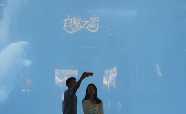  郑琴心|心动的信号：男3故意给姚沐希夹牛肝？从这点就能看出，细思极恐