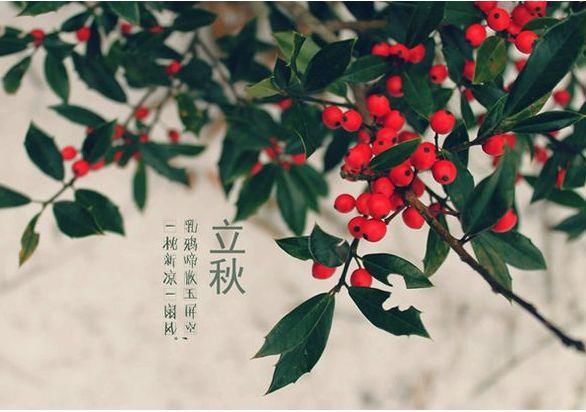  今日|时令 | 今日立秋！还会热吗？