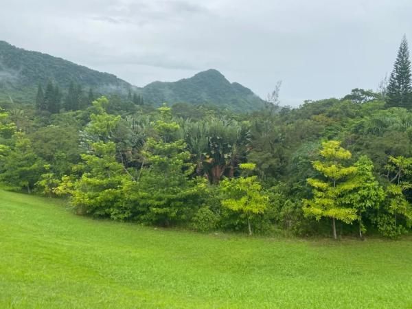 侨乡|侨乡生活：去万宁，吃遍多样美食