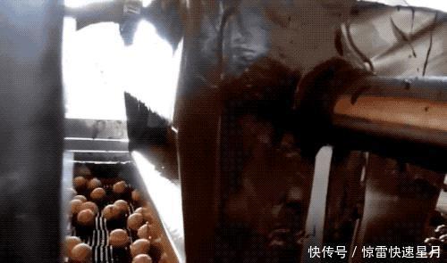 半球|机器是怎么做出4层包裹的费列罗的看了直呼内行