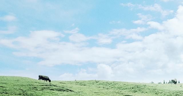摩羯座|9月上旬,猝不及防,思念成疾,心手相牵,和好如初,终不负情爱
