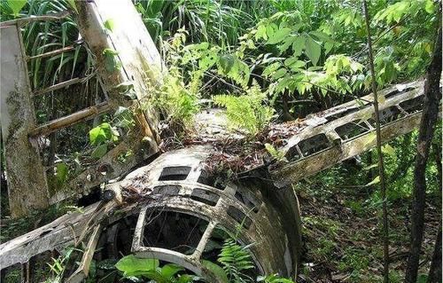 如今|老照片：战犯山本五十六的座机残骸，如今已成当地著名旅游景点！