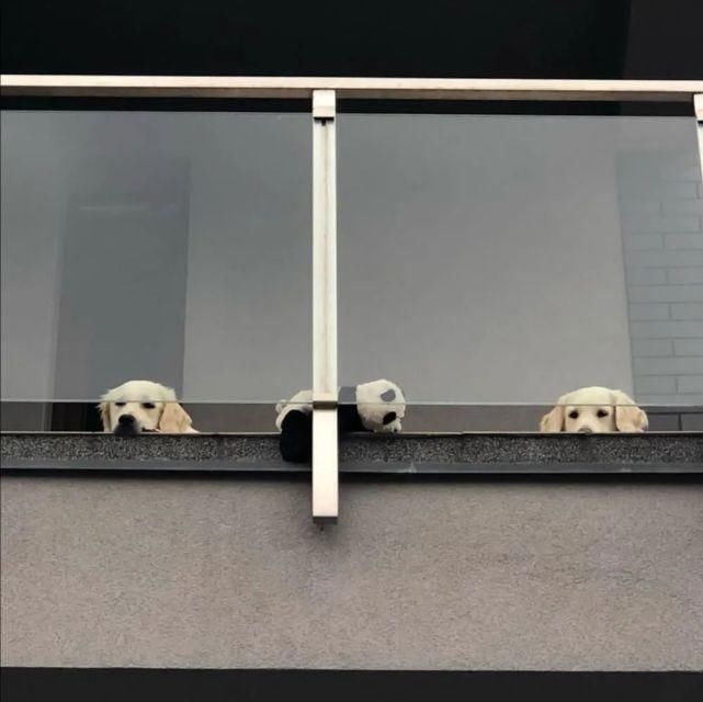  習慣|背景 | “放不下的只是習慣”