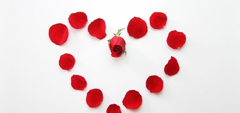 生肖鸡|7月份期间，十里桃花香，出门遇良缘，极易邂逅爱情的四生肖！