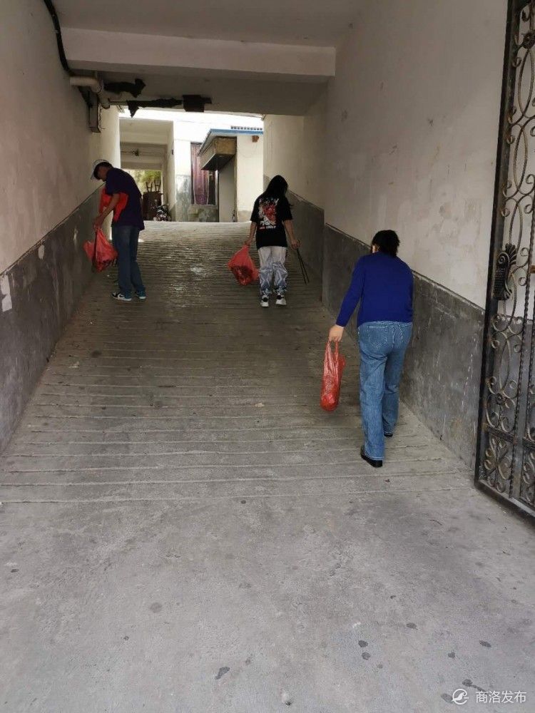 县城|柞水洁净文明县城环境“现在进行时”