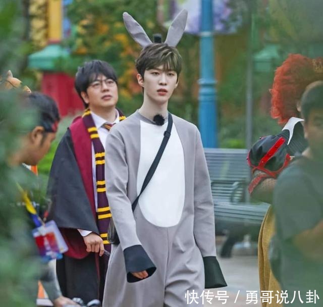 综艺|鞠婧祎赵丽颖,蔡徐坤范丞丞,综艺这一放大镜太影响他们的口碑了