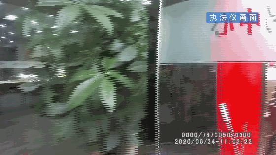 警方冻结|小姐姐求助民警解冻银行账户反被抓，怎么回事？