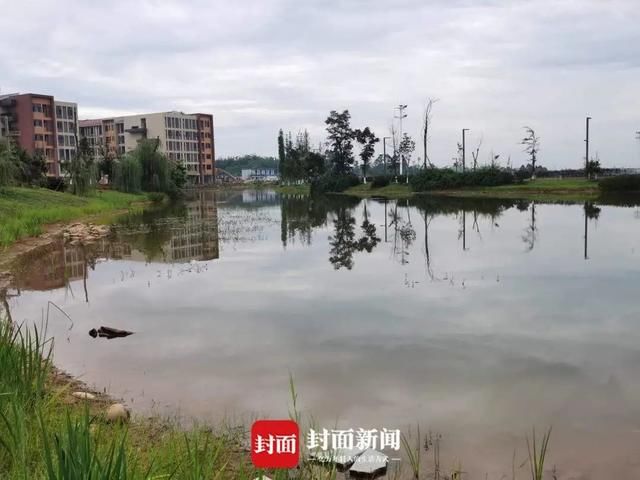  大学生|警方通报一大学生溺亡：与女友发生矛盾后，帮女友室友摘荷花致意外