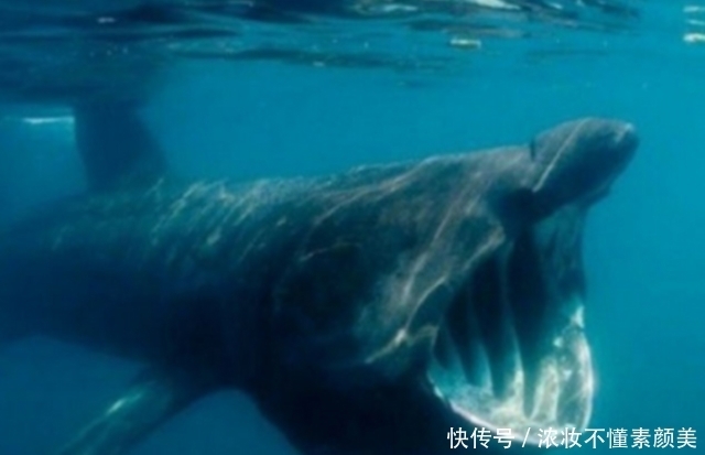 照片|这些照片真的没有经过任何PS处理,每一张都让人腿软!