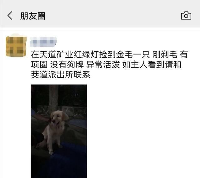  武义|武义公安丨我们家“孩子”丢了，谢谢你们帮忙找回来