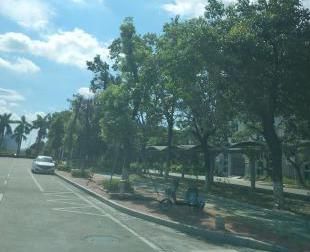 理应|【创文进行时】不回避,不遮丑!这些不文明现象理应整改