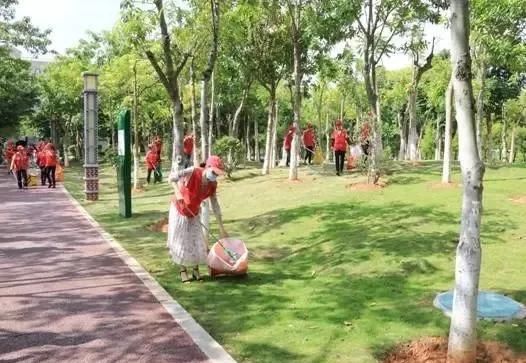 市政园林|扮靓城市风景线，又有两千多名志愿者出动了