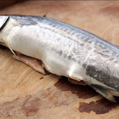  韭菜|翠玉鲅鱼酸汤馄饨