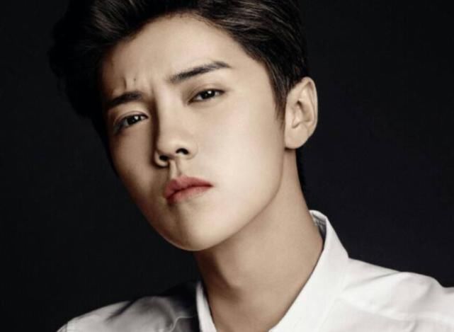  艺人|国内知名流量艺人，曾是exo组合的门面，如今回国发展