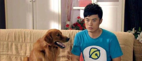  综艺|明明有污点, 为什么陈赫还是各大综艺的宠儿? 黄渤一句话点出原因