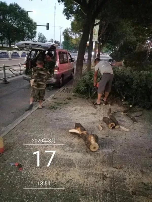  下班|惊险！下班高峰，大货车误入非机动车道，刮断行道树树枝