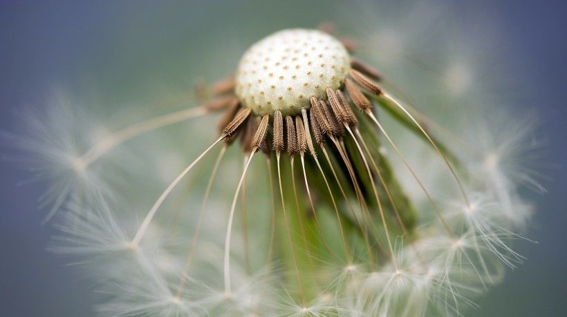  意外|8月好运缠身，4大星座意外之财说来就来！