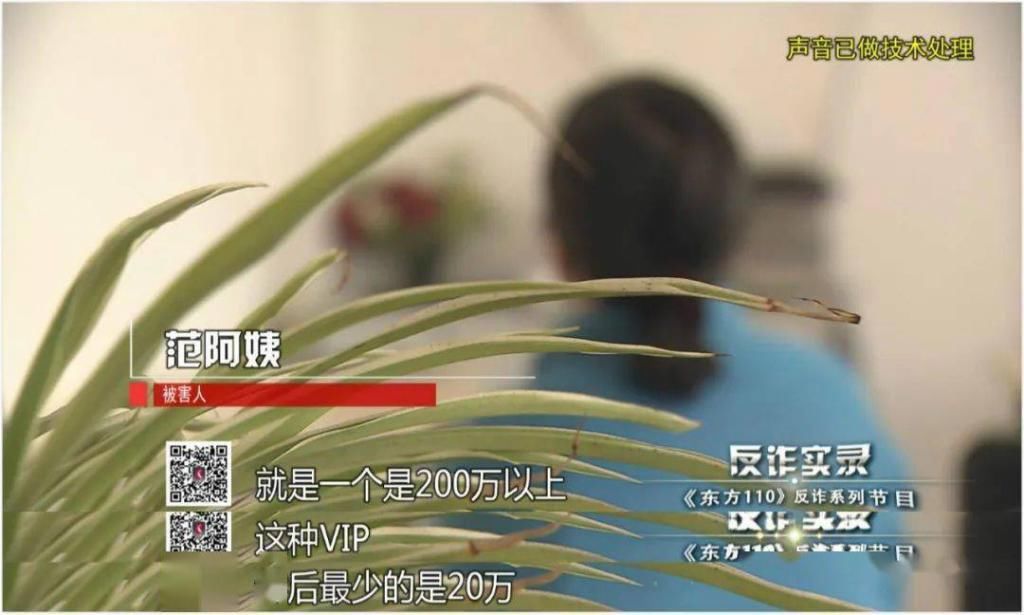  罪恶|反诈实录：罪恶之源