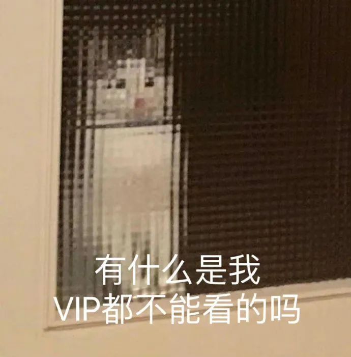 真的太猛了！这个小众网站啥片都有，老司机最爱！