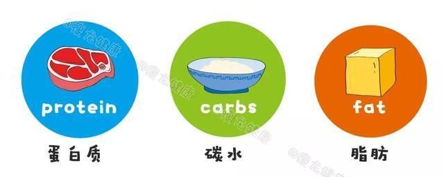  吃多|肉肉是怎么来的？怎么减掉的？｜能看懂的人都瘦了……