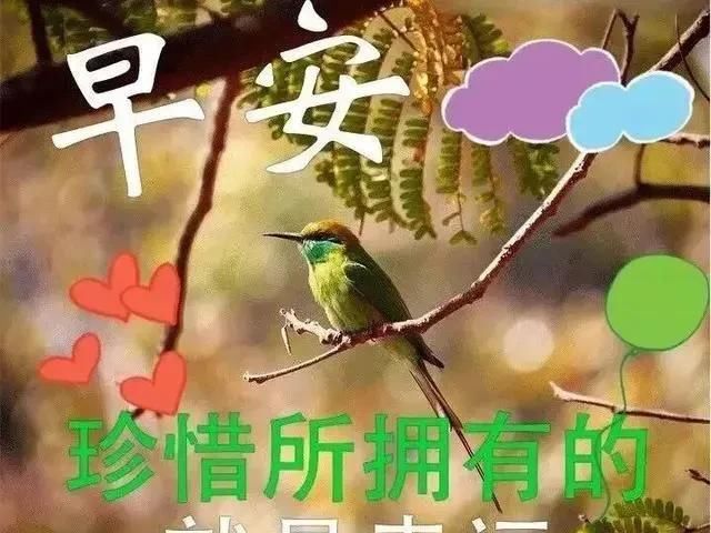 理解|人与人之间,真诚就好;不彼此埋怨,理解就好;不时刻不离,有你就好