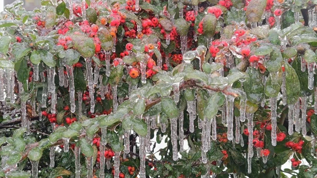 雨雪冰冻天气进入最强时段！返乡途经这些地方需注意