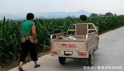 倒赔|西瓜被偷却倒赔小偷300元，瓜农哭诉：偷吧，以后再也不敢阻拦了